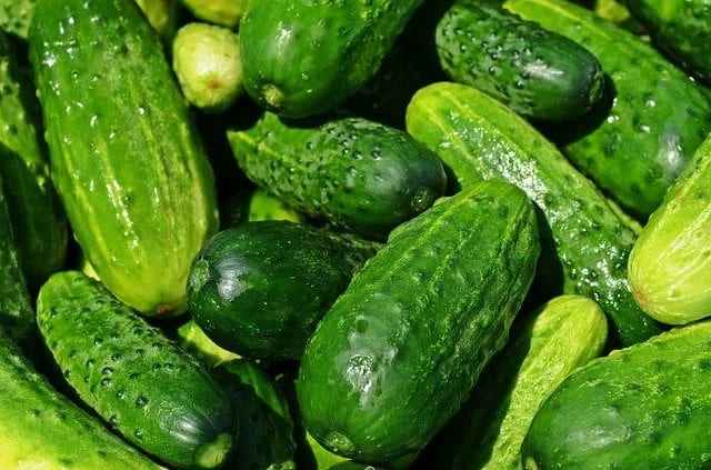 Moguće posljedice konzumiranja krastavaca