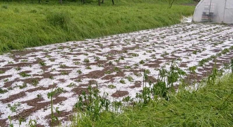 Pristigla 43 zahtjeva za naknadu štete