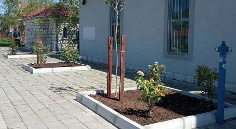 FOTO: Nova stabla krase prostor pored Željezničke stanice