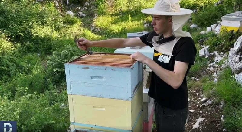 Jedna smjena rezervisana za školu, a druga za pčele