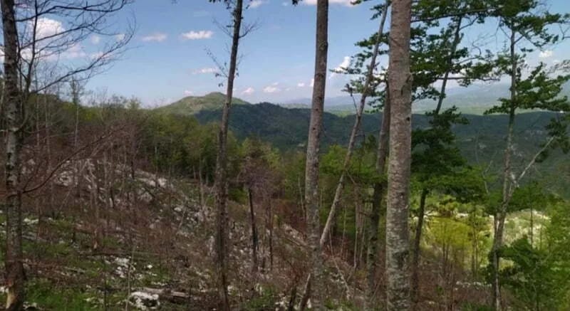 Dvije intervencije za tri dana, Tadić: Građani da se uzdrže od terena kakav je planina Pusti lisac