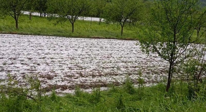 Grad desetkovao usjeve u Župi