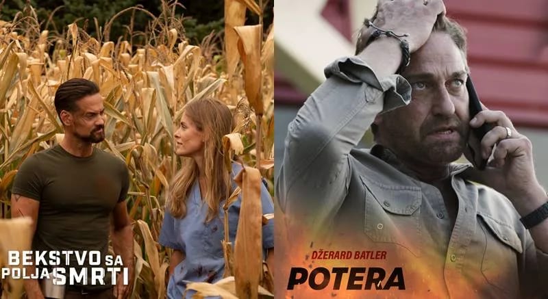Petak u Cinemi 213