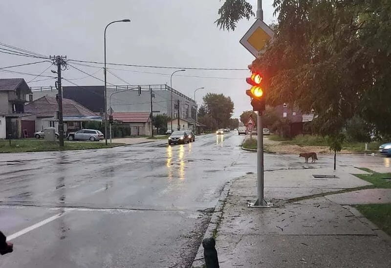 Postavljena zvučna signalizacija na još dvije raskrsnice u Nikšiću