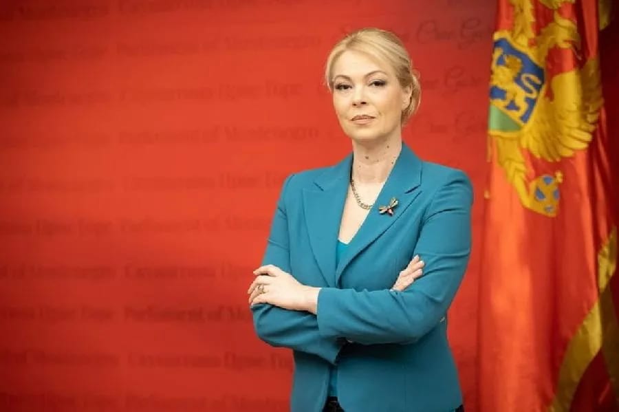 Đurović: Crnogorski novinari rade u izuzetno teškim uslovima