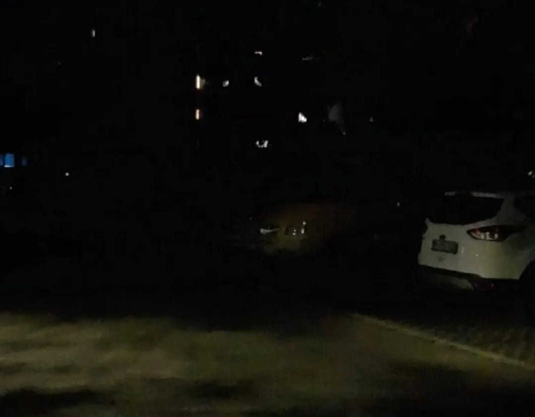 ČITAOCI ŠALJU: U mraku čekaju popravku nove led rasvjete (Video)