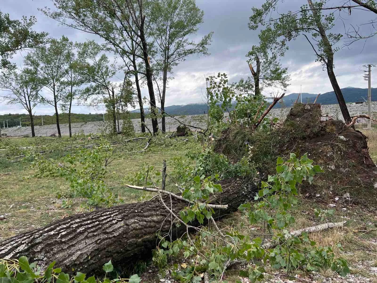 (FOTO) Vjetar čupao topole iz korijena, lomio stabla