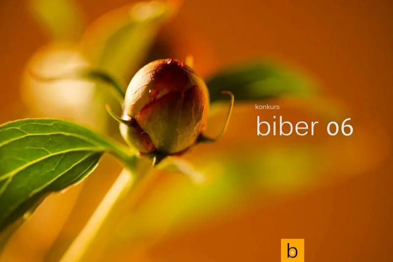 Otvoren šesti konkurs "Biber"