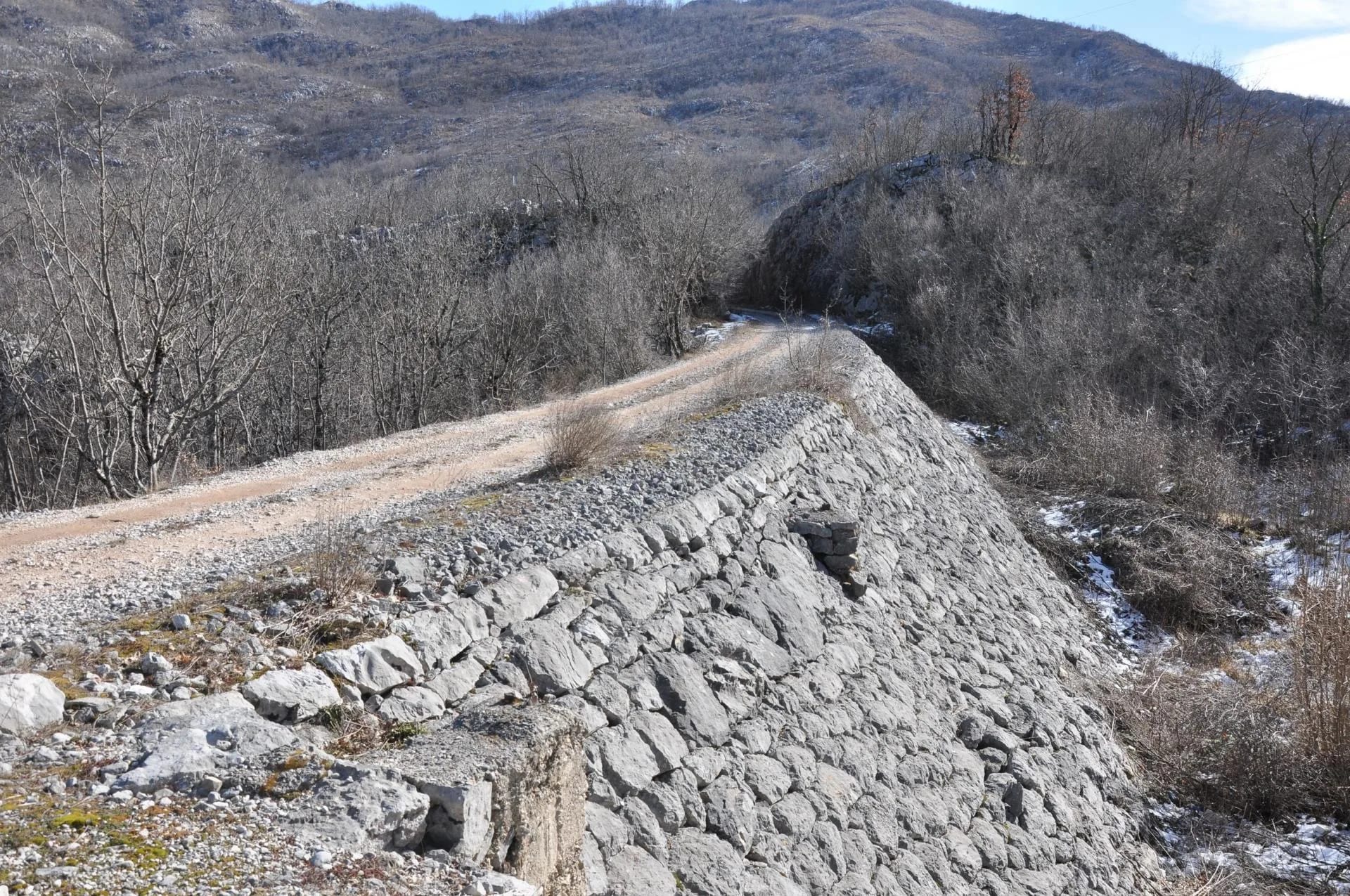 "Kamioni drva svakodnevno odlaze bez bilo kakve kontrole"