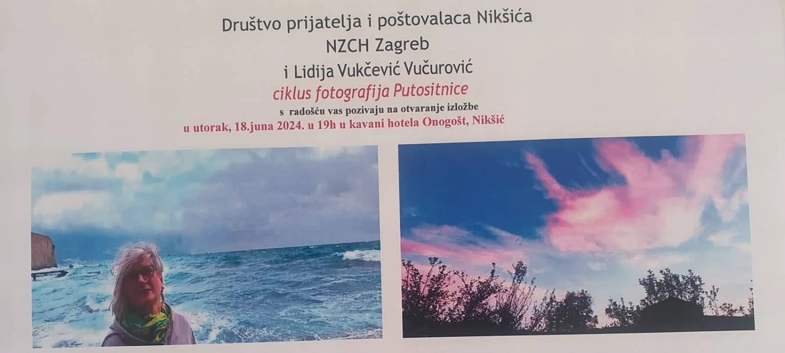 Hotel Onogošt: Izložba fotografija "Putositnice"