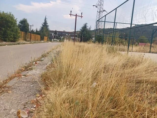FOTO: Otpad i nepokošena trava na putu do Instituta za crnu metalurgiju