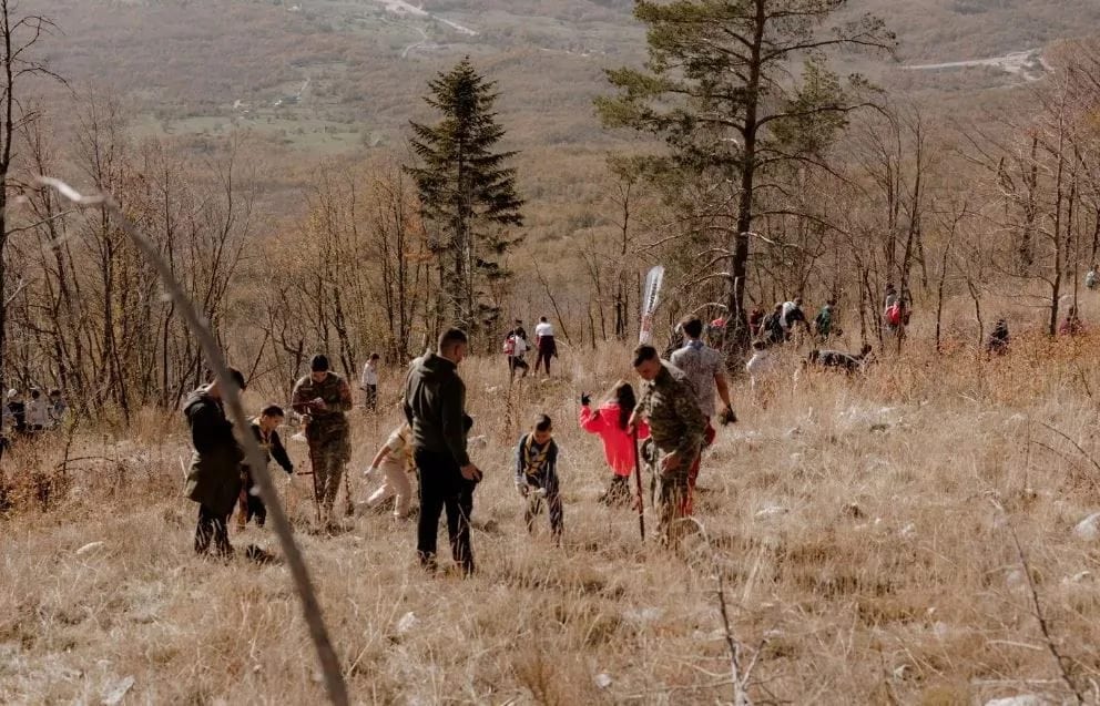 Na planini Vojnik 30.000 novih stabala
