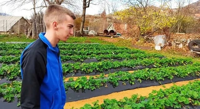 Uslovi dobri, fali mladih poljoprivrednika