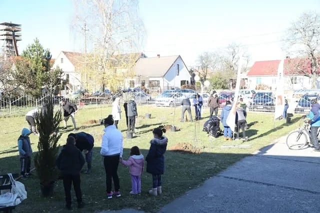Dvorište OŠ ,,Mileva Lajović Lalatović“ u Rubežama oplemenjeno sa 20 sadnica