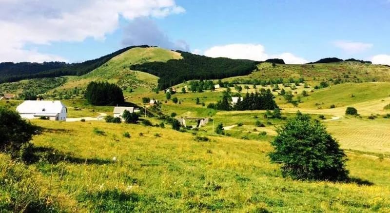 Podaci CBCG: Prihodi od turizma pali za skoro 50 miliona
