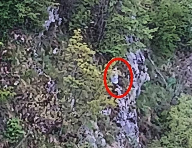 Spašen nakon što je proveo noć na grani iznad ambisa