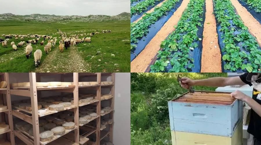 Od 26.000 poljoprivrednika, samo 2.500 planira penziju