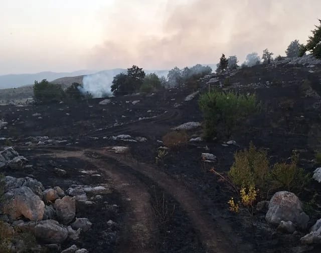 Ozon: Zbog namjernog izazivanja požara, hitno formirati jedinicu za borbu protiv eko-kriminala