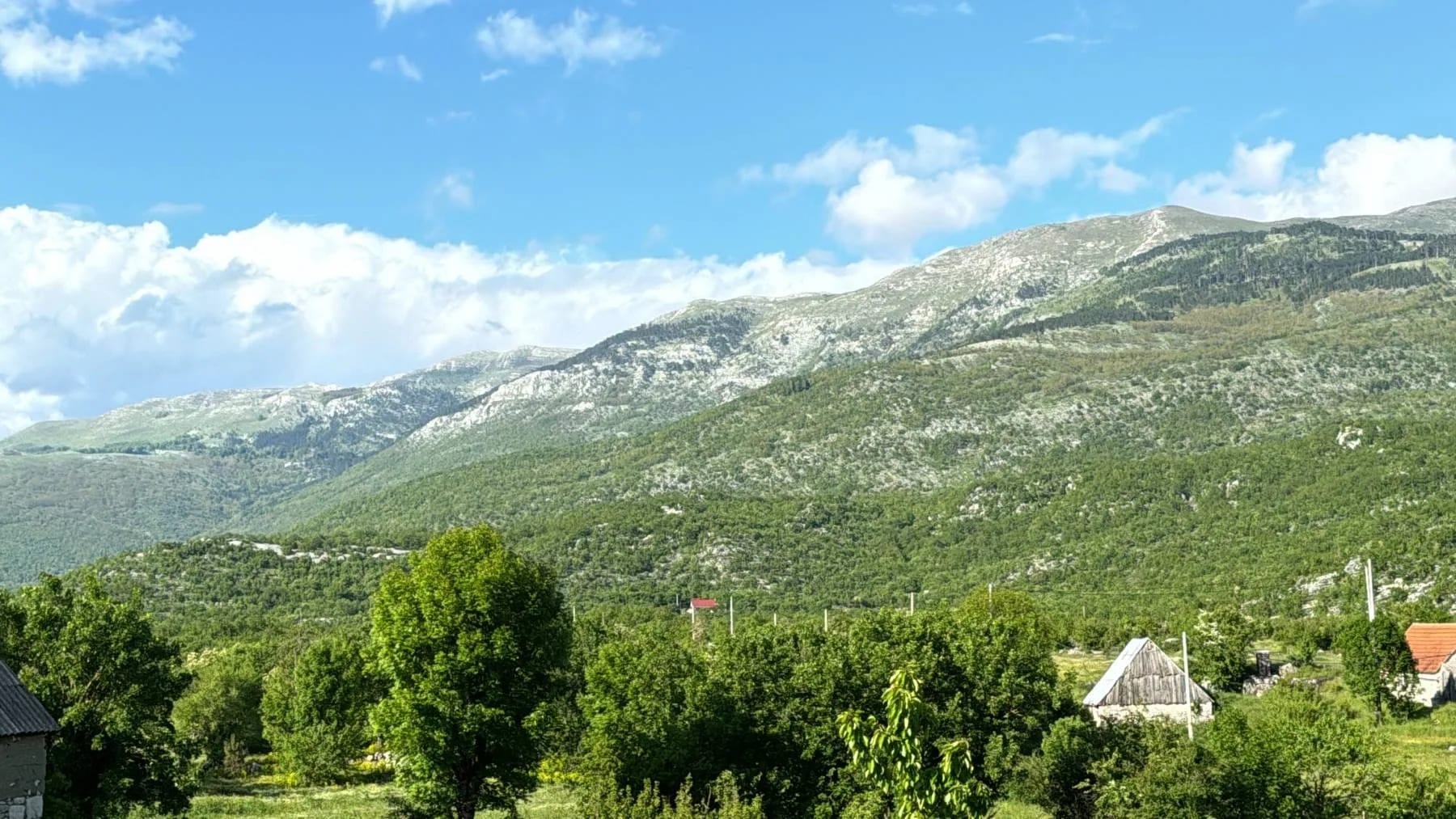 “Tragedija kakvu Golija ne pamti”