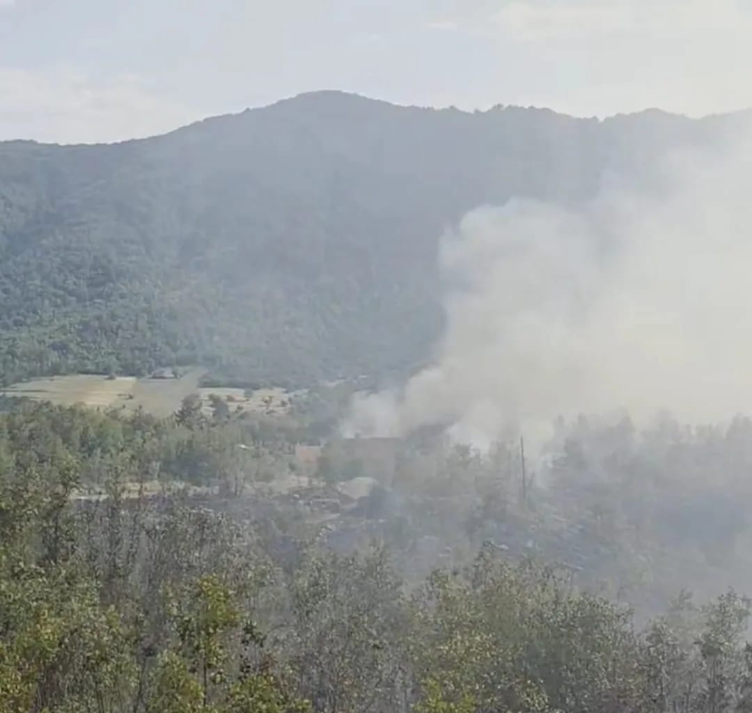 Potrebna baza podataka piromana i sistem rane dojave