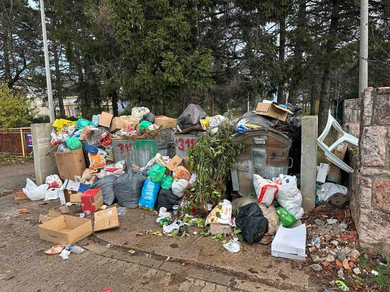 DPS: Nikšić grca u smeću