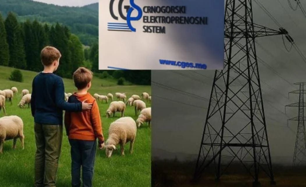 GI "Spasimo Brezna": CGES nastavlja da ignoriše ljude kojima dalekovodi prolaze iznad kuća