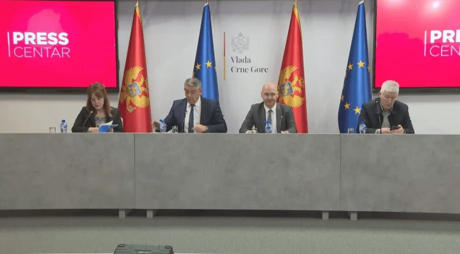 Radna grupa utvrdila da je 75 građana promijenilo prebivalište zbog glasanja na izborima u Šavniku