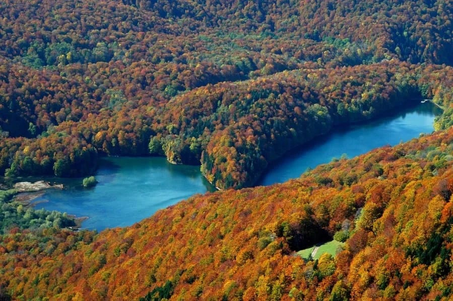 NP Biogradska gora od 16. marta otvoren za posjete