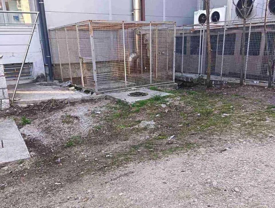 Uklonjena mini-deponija kod Nikšićkog pozorišta