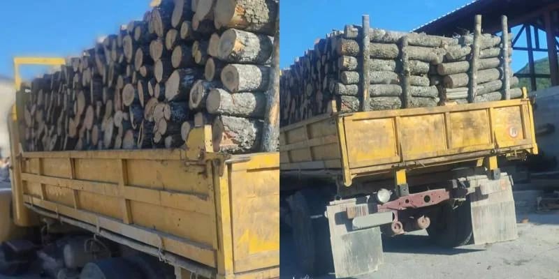 Akcija "Ogrijev“: Procesuirana trojica Nikšićana, zaplijenjena šumska građa