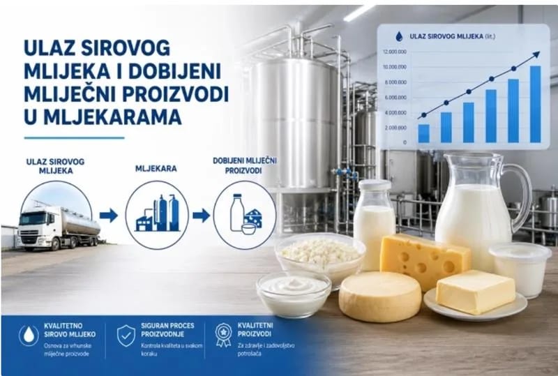 Monstat: Otkupljeno više mlijeka