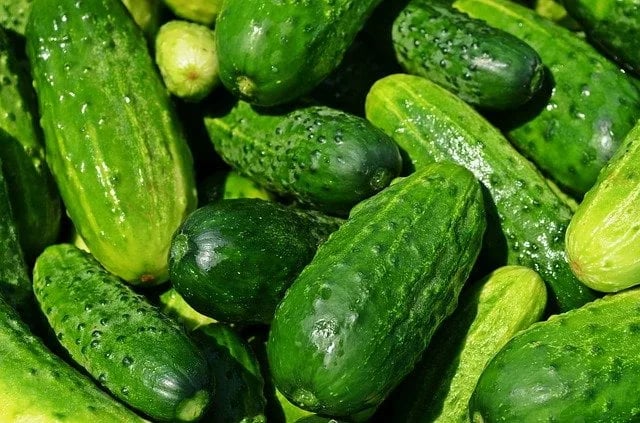 Moguće posljedice konzumiranja krastavaca