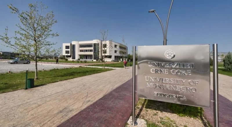 UCG među hiljadu najboljih u svijetu u oblastima kompjuterske nauke