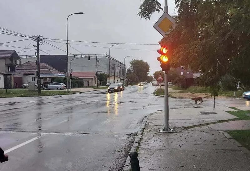 Postavljena zvučna signalizacija na još dvije raskrsnice u Nikšiću