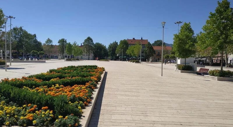 „Auto(r) na korzu“: Prva godina vjekovanja Ranka R. Radovića – „Zlatni sonet“