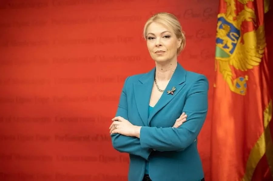 Đurović: Crnogorski novinari rade u izuzetno teškim uslovima