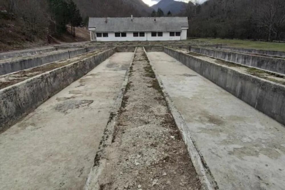 Povratak pastrmke na Balkan kreće od Pive