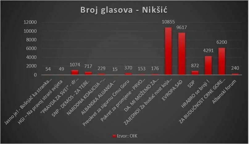 OIK: U Nikšiću "Zajedno" 10.855 glasova, PES 9.617, ZBCG 6.200 glasova