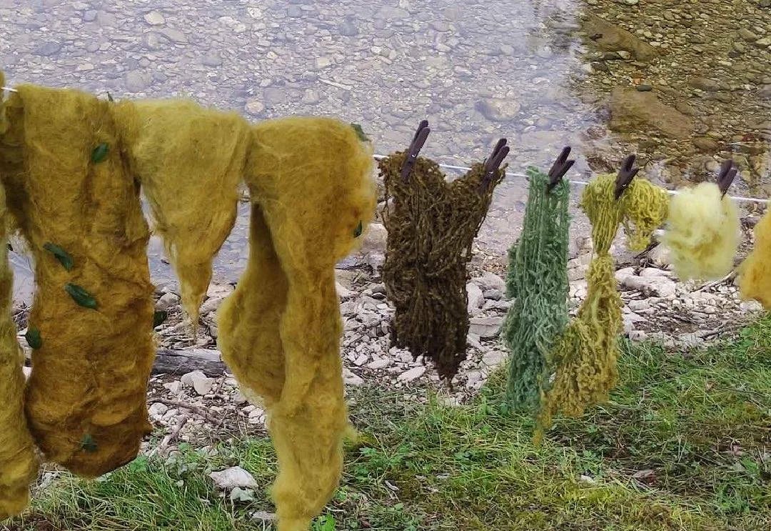 Na obali Bukovice „Sve boje Crne Gore - bojenje vune biljnim bojama“