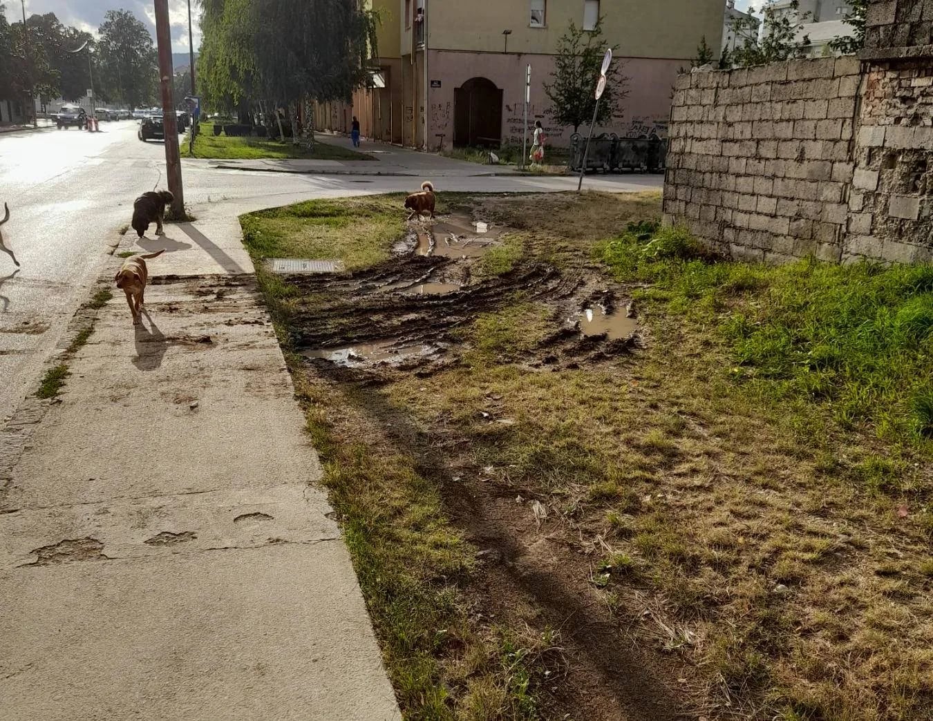 ČITAOCI ŠALJU: Zelene površine kao parking mjesta