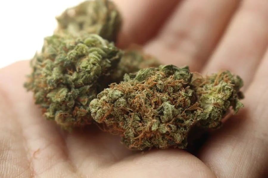 Nikšićanin vozio pod dejstvom četiri vrste droga