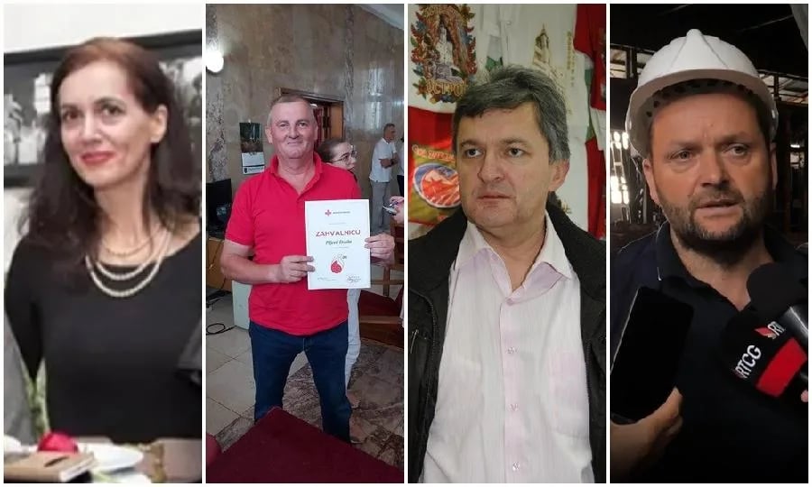 Janković, Piljević, Karadžić i Kosović kandidati za direktora EPCG Željezare