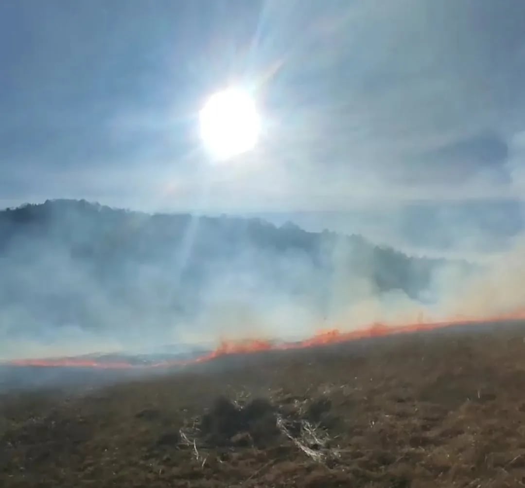 Novi požar na Konjskom, gorjelo nisko rastinje