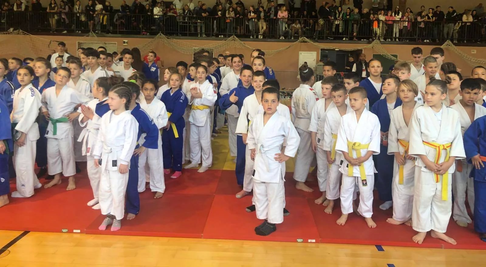 Za džudiste Trebjese pet medalja