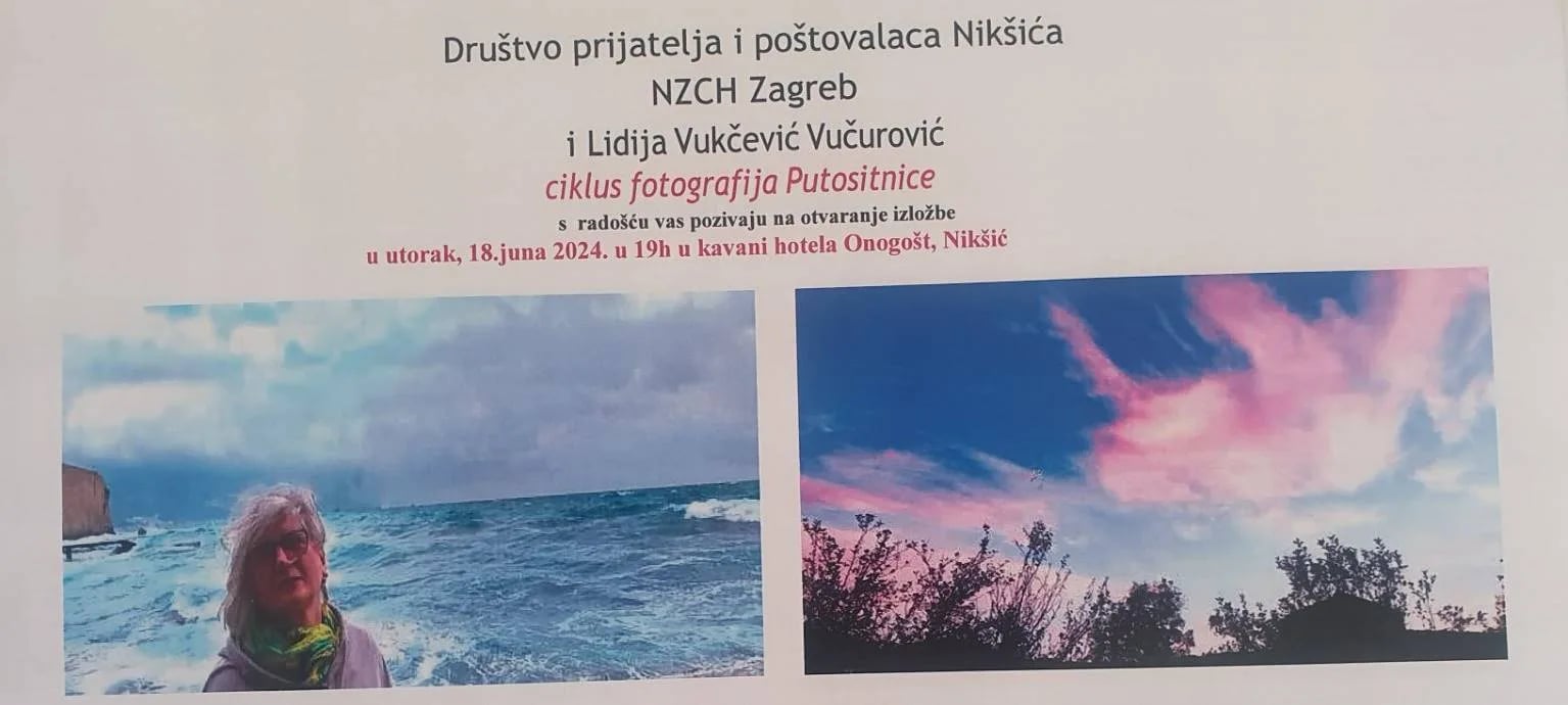 Hotel Onogošt: Izložba fotografija "Putositnice"