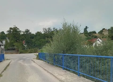FOTO: Most na Bistrici zbog obraslog rastinja nebezbjedan za saobraćaj