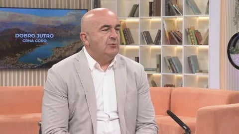 Koncesije donijele više štete nego koristi drvnoj industriji