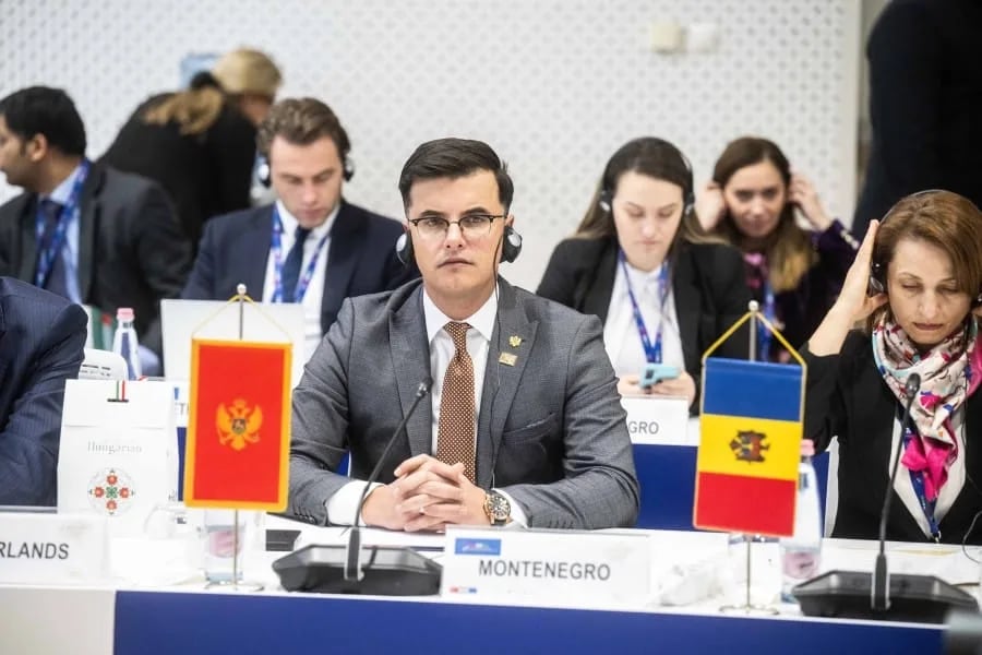 MUP će uskoro formirati Radni tim za borbu protiv krijumčarenja migranata