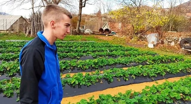 Uslovi dobri, fali mladih poljoprivrednika