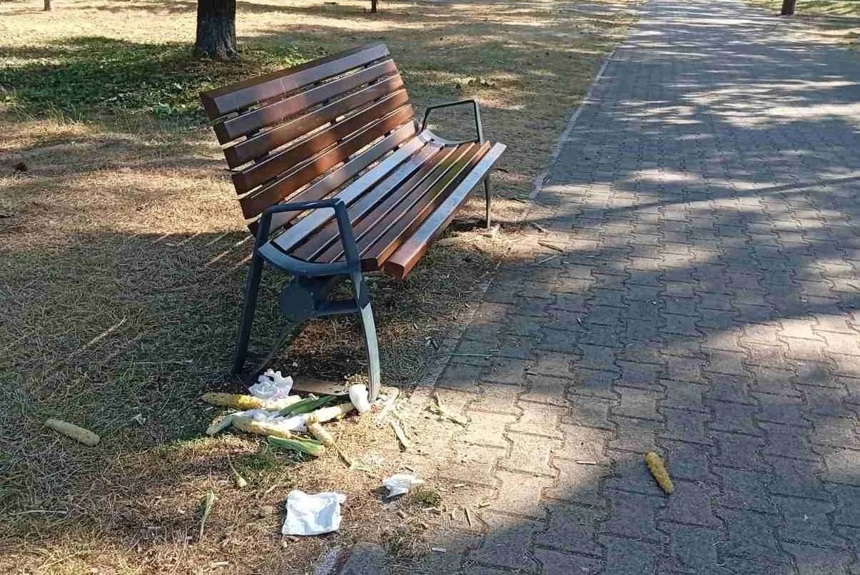 ČITAOCI ŠALJU: Zajednički da damo doprinos da naš grad bude čist